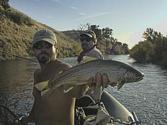 Nice trout