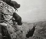 Falling off the cliff