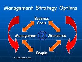 Business Management Strategies for Remodelers